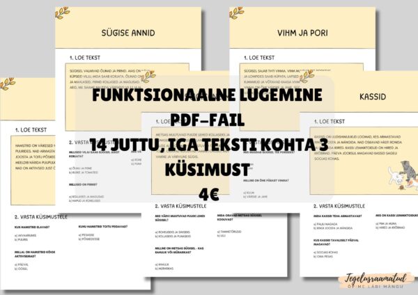 funktsionaalne lugemine